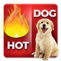 Fun Words Picture Quiz Game