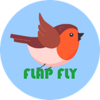 Flap Fly