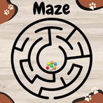 Maze Master Roller Coaster