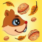 Katagorri Intxaurzalea