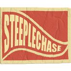 STEEPLECHASE Racing Game Stimu