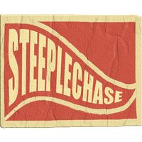 STEEPLECHASE Racing Game Stimu