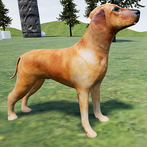 Happy Lambert Dog Simulator