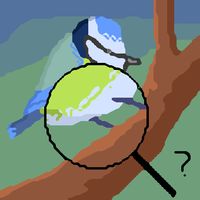 Ois - Reconnaissance des oisea