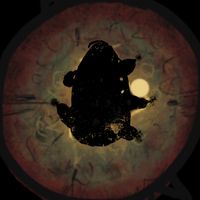 Dont' take off your eyes