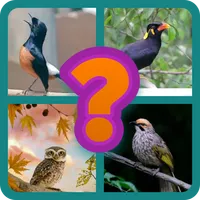 Tebak gambar nama burung