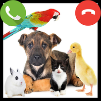 Fake Call Pet Game