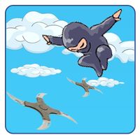 Multi Ninja Jump