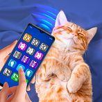Lullaby Simulator for Cat