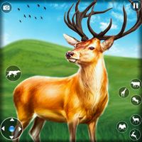 Modern Deer Simulator World