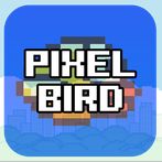 Pixel Bird