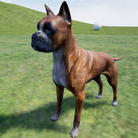 Happy Boxer Dog Simulator