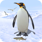 Penguin Simulator Bird Life