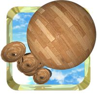 Marble Roller Coaster