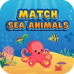 Match Sea Animals Puzzle