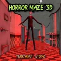 Horror Maze 3D