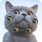 Sliding Jigsaw Puzzle