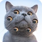 Sliding Jigsaw Puzzle