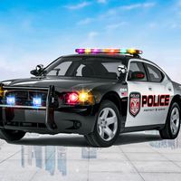 Police Chase Highway Patrol