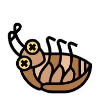 Acerte-me se for capaz