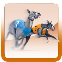 Pro Racing Greyhound