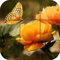Butterfly Jigsaw Puzzles