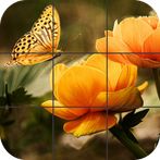 Butterfly Jigsaw Puzzles