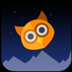 Flying Owl 2019