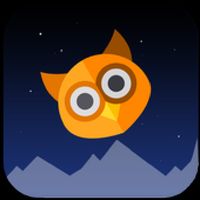 Flying Owl 2019