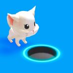 Bring Stray Home