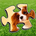 Puppy Jigsaw Puzzles - Zillion