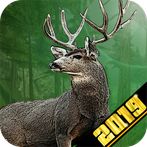 Big Buck 3D Deer Hunting Games