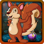 Ecstatic Squirrel Escape