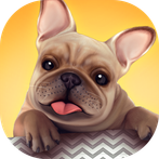 Dog Shelter - Bark Bark Bark