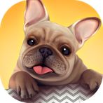 Dog Shelter - Bark Bark Bark