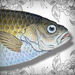 Odd Adventure of Chub, Color,