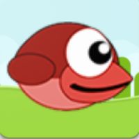 Delicate Bird - Hardest Game E