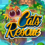 Cats Rescue