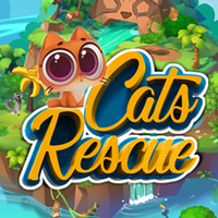 Cats Rescue