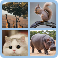 Guess The Animal Name