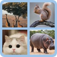 Guess The Animal Name