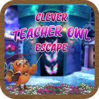 Clever Teacher Owl Escape - JR