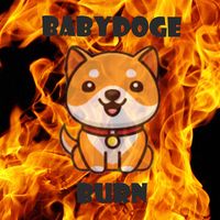 Baby Doge Burn