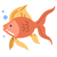 Noqia Fish Game