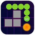 Snake Puzzle