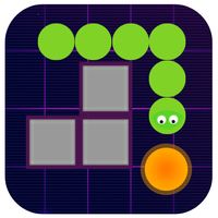 Snake Puzzle