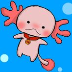 Idle Salamander Left