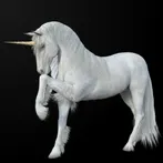 fake call unicorn prank