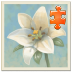 Inner Garden: Architecture 1