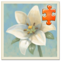 Inner Garden: Architecture 1